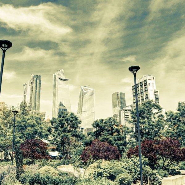 DSC_08100_1_-1_fusedzkrwe